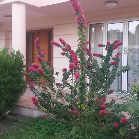 וילה Rea Luxury 5 Bdrs With Swimming Pool קרמסטי