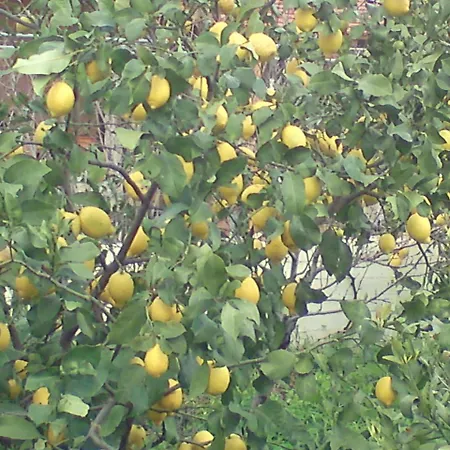 Rea Luxury 5 Bdrs With Swimming Pool Villa Kremastí